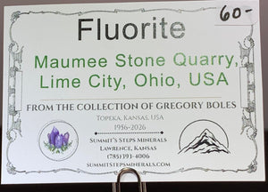 Fluorite, Maumee Stone Quarry, Ohio
