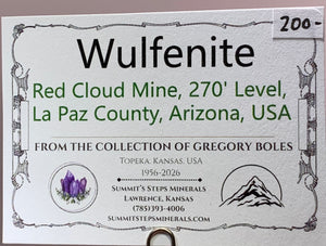 Wulfenite, Red Cloud Mine, Arizona, USA