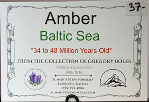 Amber, Baltic Sea