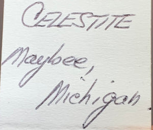 Celestine, Maybee, Michigan