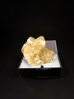 Calcite, Pembroke Pines, Florida