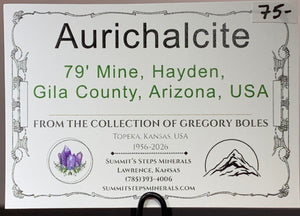 Aurichalcite, 79' Mine, Arizona