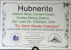 Hubnerite, Adam's Mine, Colorado