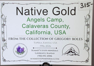 Native Gold, Angels Camp, California