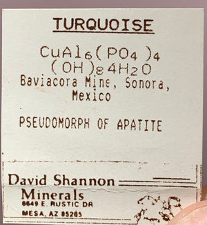 Turquoise Pseudomorph, Baviacora Mine, Mexico
