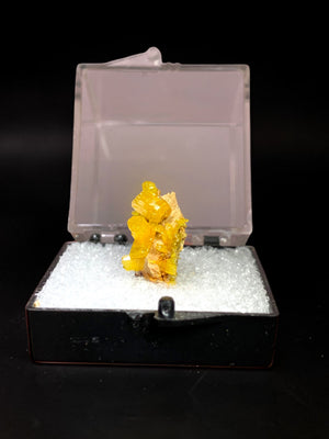 Pyrmorphite, Bunker Hill Mine, Idaho, USA