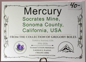 Mercury, Socrates Mine, California