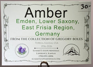Amber, Emden, Germany
