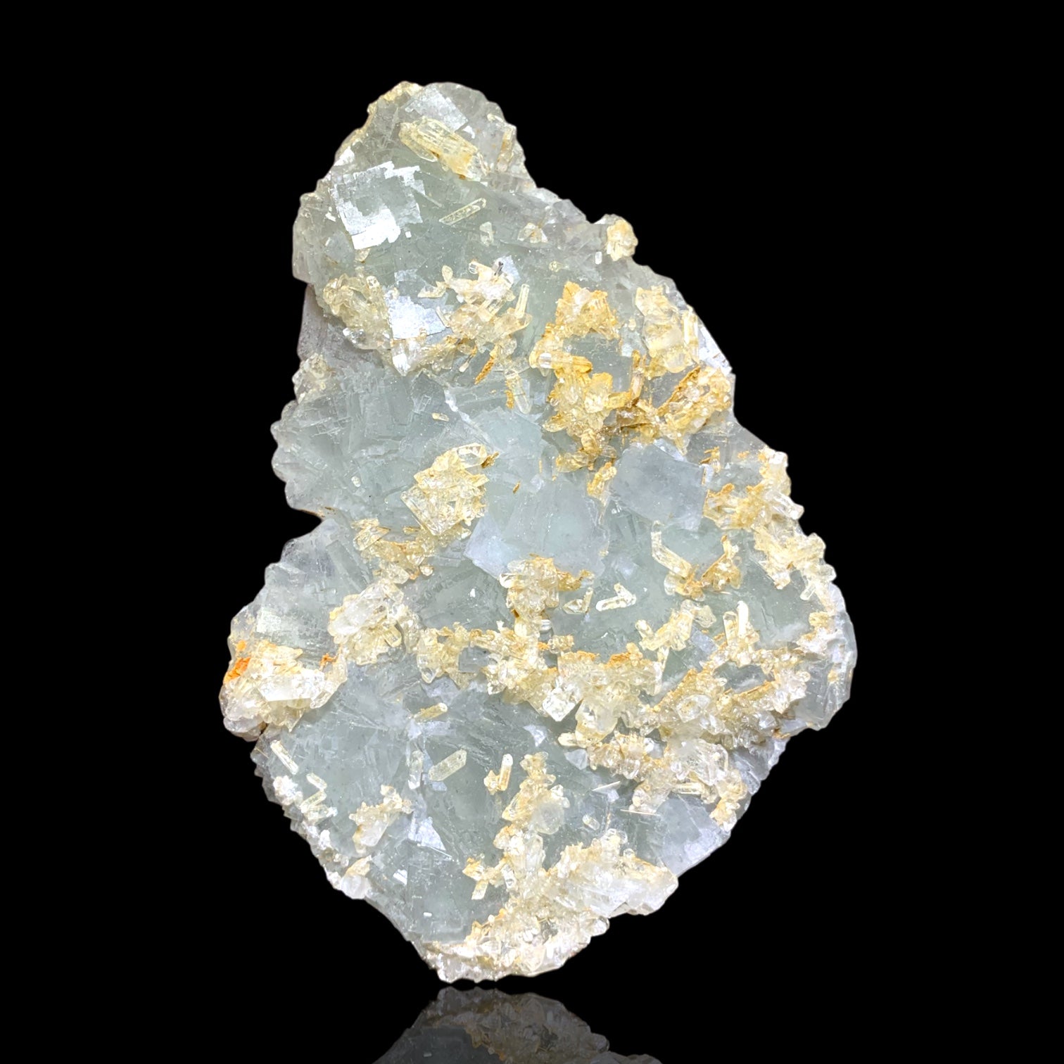 Fluorite w/ Barite, San Diego Mine, Chihuahua, Mexico.