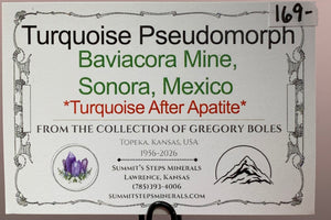 Turquoise Pseudomorph, Baviacora Mine, Mexico