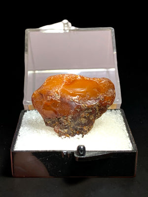 Amber, Emden, Germany