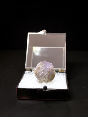 Purple Creedite, Santa Eulalia, Mexico