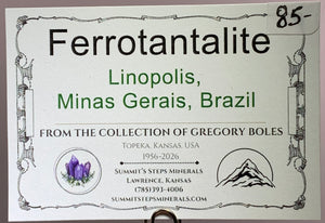 Ferrotantalite, Linoplolis, Brazil
