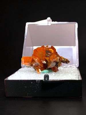 Wulfenite, Red Cloud Mine, Arizona, USA