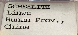 Scheelite, Linwu Co., China