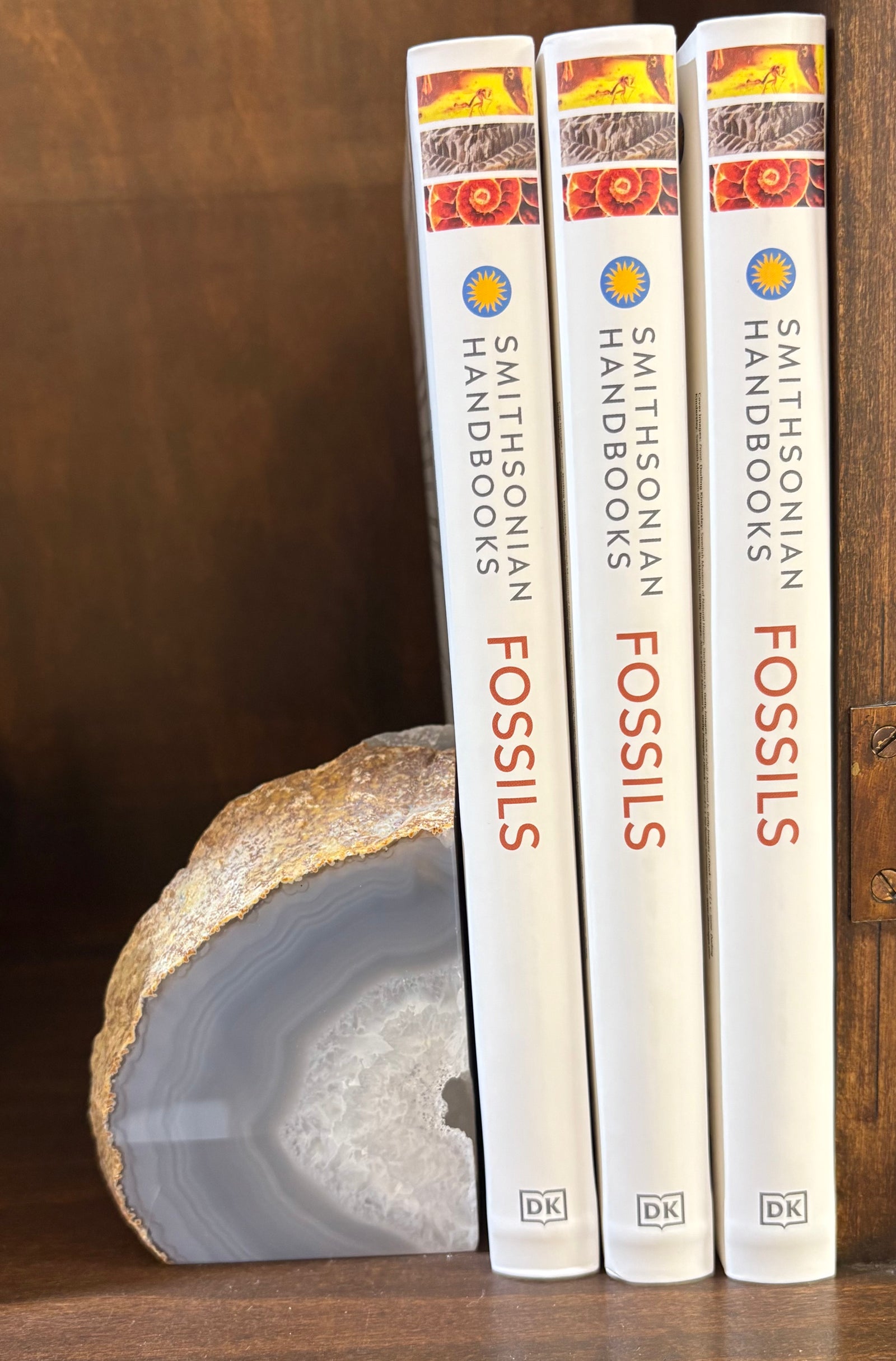 Smithsonian Handbooks: Fossils