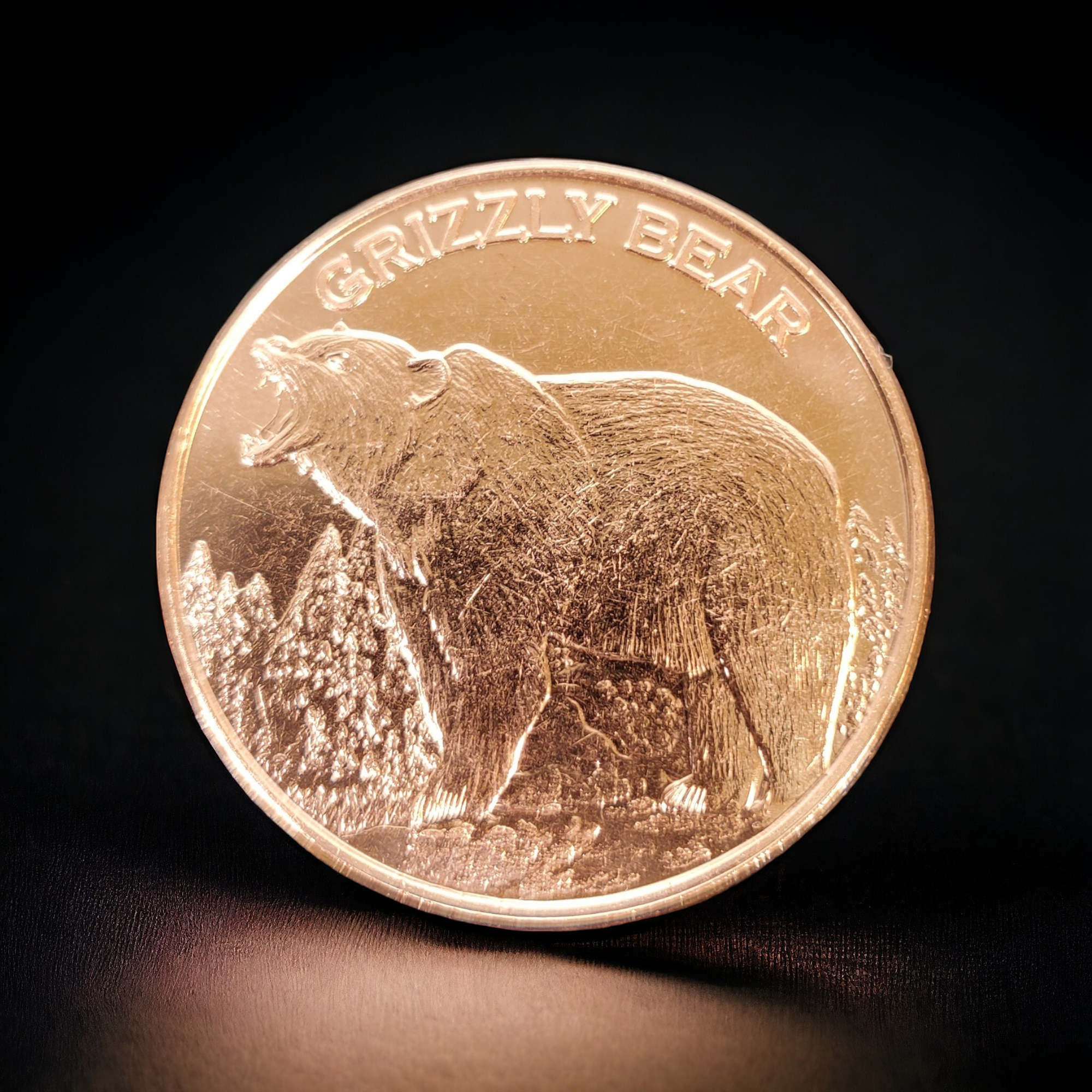 1 Oz Copper Coin (Grizzly Bear), Michigan