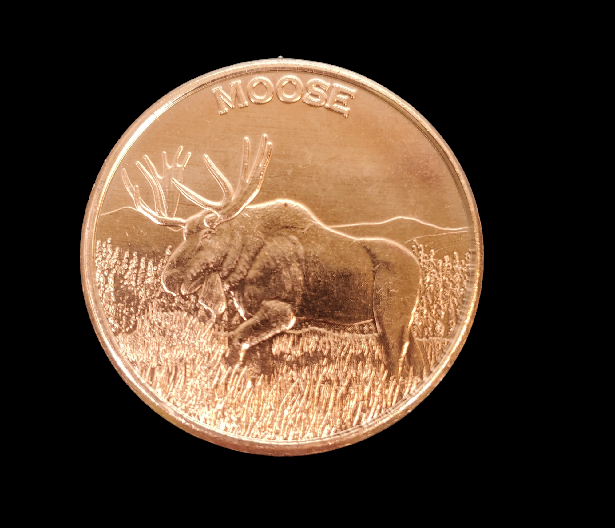1 Oz Copper Coin (Moose), Michigan