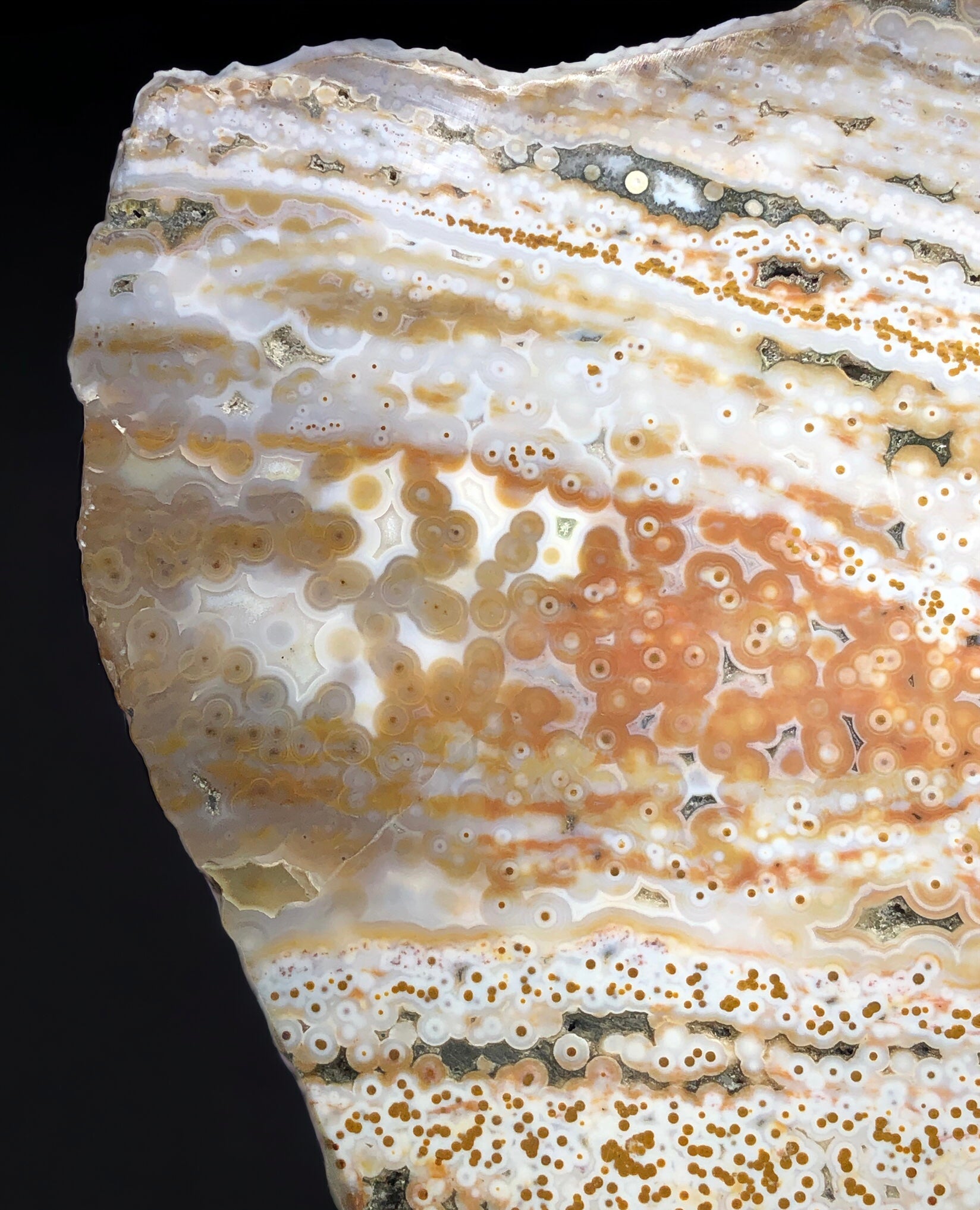 Ocean Jasper Slab