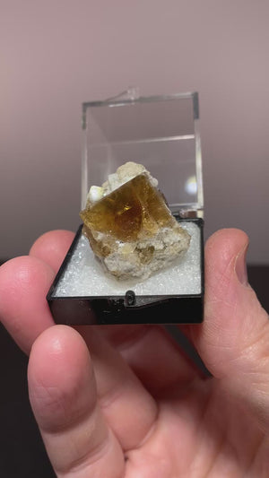 Fluorite, Maumee Stone Quarry, Ohio