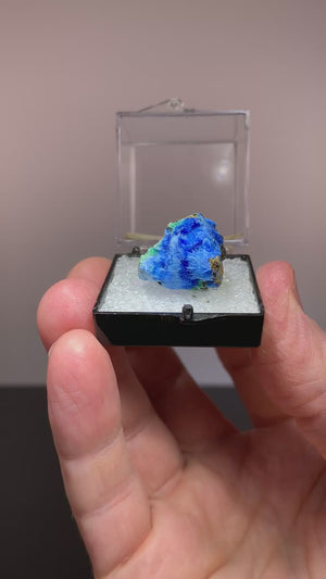 Cyanotrichite, Maid Of Sunshine Mine, Arizona
