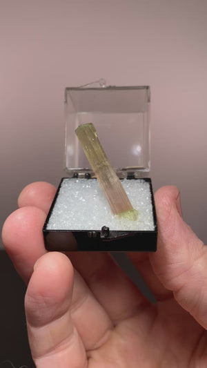 Elbaite Tourmaline, Himalya Mine, California
