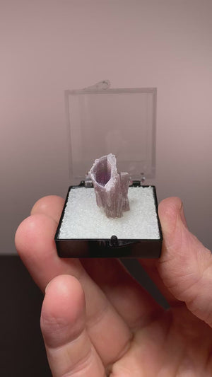 Lepidolite, Toca da Onca Mine, Brazil