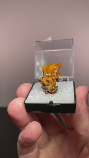 Wulfenite, Los Lamentos, Mexico