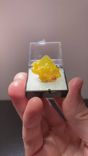 Wulfenite w/ Mimetite, San Francisco Mine, Mexico