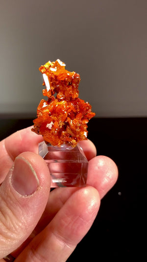 Wulfenite, Puzzler Mine, Arizona, USA