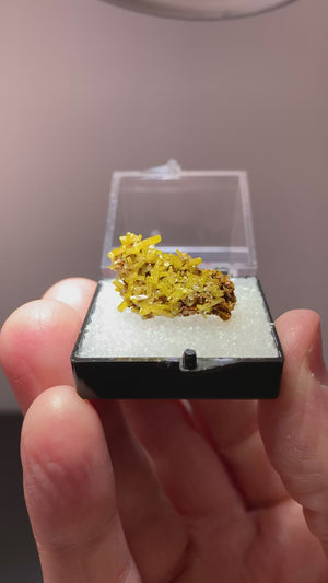 Mimetite, Hat Yai, Thailand