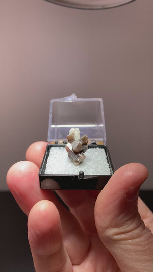 Pyromorphite, Pcheloyad Mine, Bulgaria