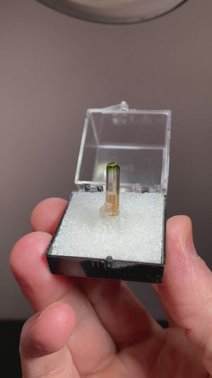 Tourmaline w/ Muscovite , China