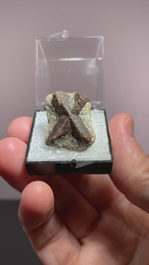 Staurolite (Twin), Kola Peninsula, Russia