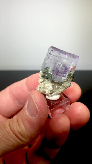 Fluorite w/ Muscovite & Epidote, Yaogangxian Mine, China