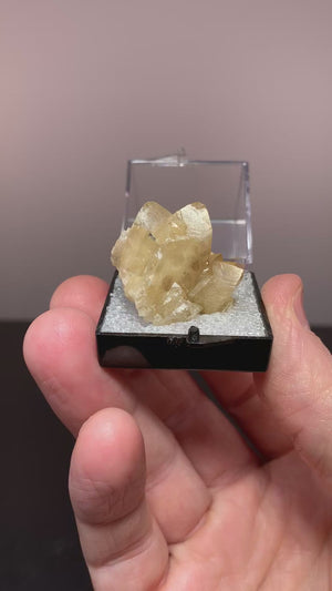 Calcite, Pembroke Pines, Florida