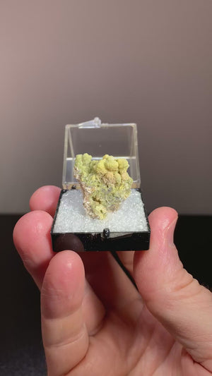 Mottramite, Tombstone, Arizona
