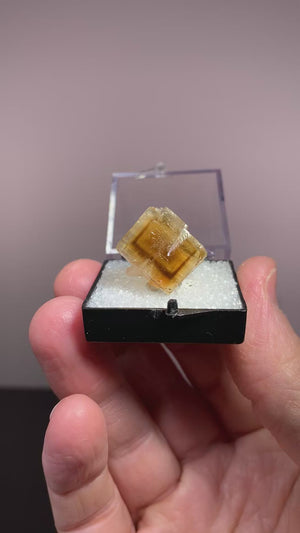 Fluorite, Clay Center, Ohio, USA