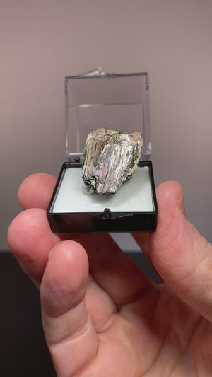 Hubnerite, Adam's Mine, Colorado