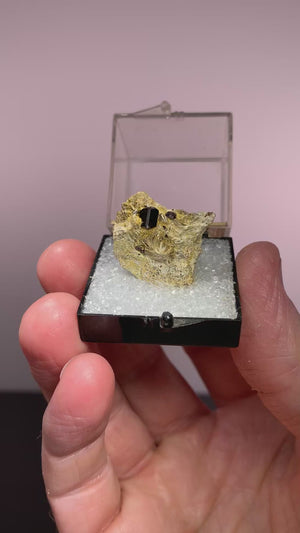 Rutile On Pyrophyllite, Champion Mine, California, USA