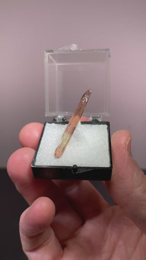 Etched Bi-Color Tourmaline, Baxao Mine, Brazil