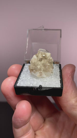 Scheelite on Calite, Yaogangxian Mine, China