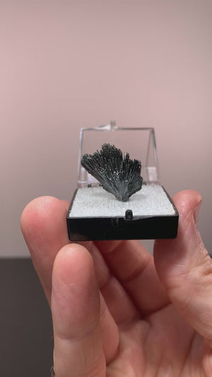 Stibnite, San Martin, Mexico