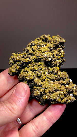 Wulfenite w/ Mottramite, Ojuela Mine, Mexico