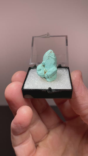Turquoise Pseudomorph, Baviacora Mine, Mexico