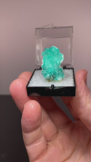 Aurichalcite, 79' Mine, Arizona