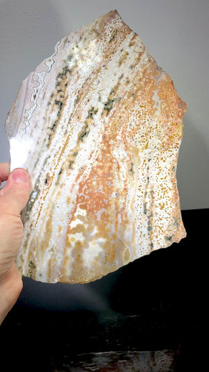 Ocean Jasper Slab