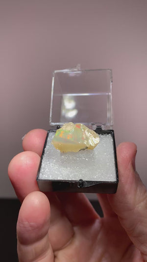 Wello Opal, Tsehay Mewchaw, Ethiopia
