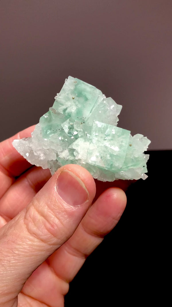 Fluorite w/ Quartz, El Hammam Mine, Morocco - Summit's Steps Minerals