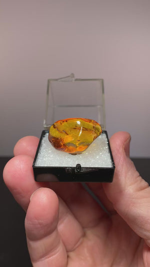 Amber, Baltic Sea
